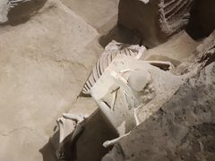 -洛阳周王城天子驾六博物馆