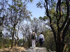 -广州市帽峰山景区