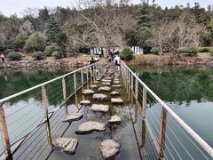 -冶父山国家森林公园