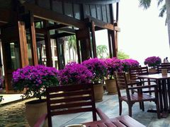 -三亚亚龙湾红树林度假酒店