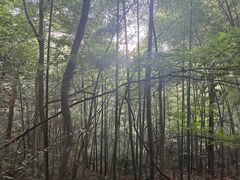 -敬亭山风景名胜区