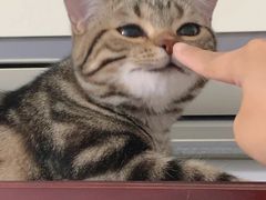 -ELEVEN桌游剧本杀轰趴馆(三里屯店)