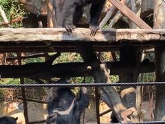 -长鹿旅游休博园