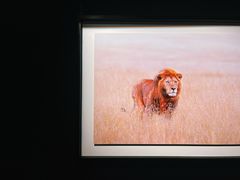 -罗红摄影艺术馆