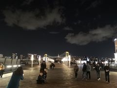 -台场海滨公园船码头