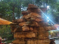 -二荆条·蜀鲜汇城市森林火锅