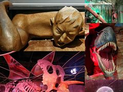 -正佳自然科学博物馆