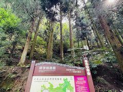 -大围山国家森林公园