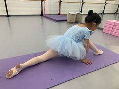 -中央芭蕾舞团·中芭艺蕾(酒仙桥明星校区)