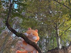 -西安电影制片厂