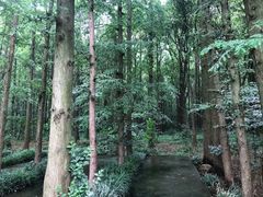 -同里国家湿地公园