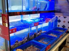 -小龍鳳·港式海鲜打边炉(沙湖路店)