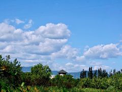 -永定河休闲森林公园