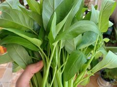 -上荔晶·土菜馆(古田店)