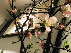 -子福慧(虹桥店)