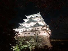 -名古屋城