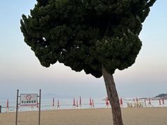 -青岛第一海水浴场