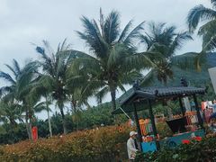 -亚龙湾国际玫瑰谷