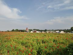-君乐宝优致牧场