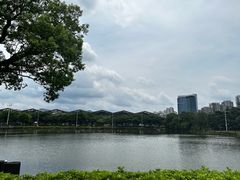 -紫马岭公园