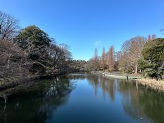 -井之头恩赐公园