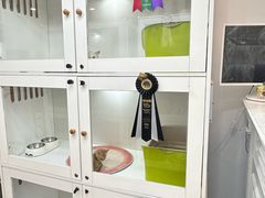 -青奢宠物·青奢猫舍