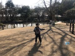 -瀛洲公园