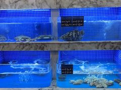 -香山湖渔家大院