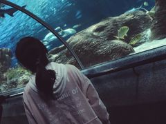 -大连圣亚海洋世界