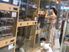 -鼎级派宠物(中南店)