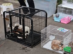 -绵阳人民公园(涪城区)