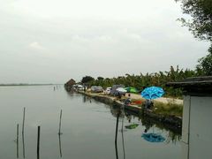 android_upload_pic-海鸥岛