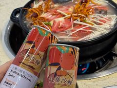 -九寨特色牦牛肉汤锅 羊肉汤锅