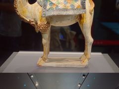 -陕西历史博物馆