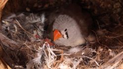 -Zoolung Zoolung动物主题公园(海信广场店)