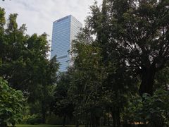 -南宁南湖公园