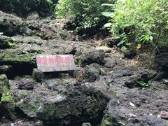 -海口火山口国家地质公园