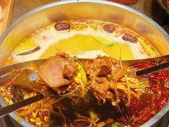 -蓉客成都火锅·招牌麻辣牛杂·特色香辣蹄花(凌水店)