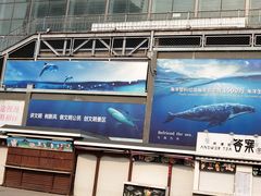 -大连圣亚海洋世界
