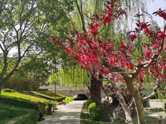 -元大都城垣遗址公园