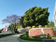 -广州神农草堂中医药博物馆