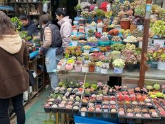 -平吉花卉市场
