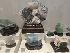 -安徽省地质博物馆