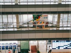 -上海市静安区闸北中心医院
