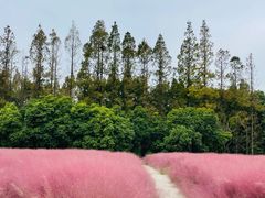 -嘉北郊野公园