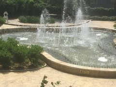 -燕塞湖鸟语林景区