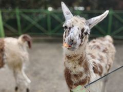 -杭州野生动物世界