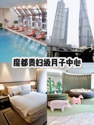 点击看大图 -巍阁高端月子会所