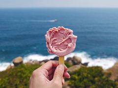 -三亚蜈支洲岛旅游区
