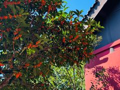 -南京金牛湖风景区